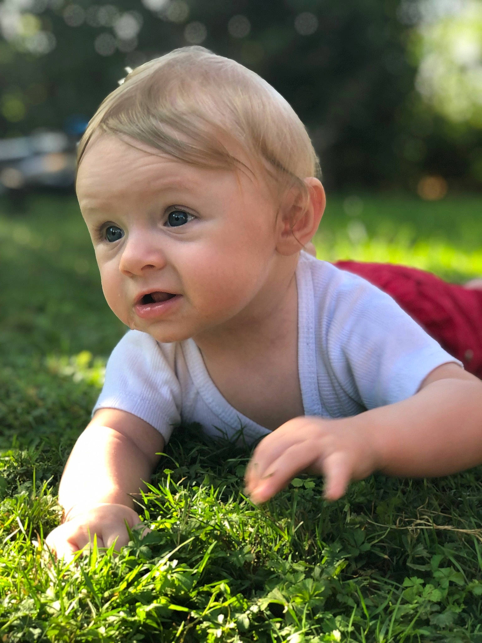 Kyara a rejoint le concours — aidez-le/la à gagner de superbes lots ! baby, baby_toddler_clothing, botany, cheek, finger, grass, grass_family, grassland, groundcover, happy, leaf, meadow, people_in_nature, person, photograph, plant, skin, smile, sunlight, terrestrial_plant