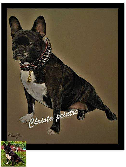 Heather participe au concours pour gagner de l'argent avec cette photo : ancient_dog_breeds, art, canidae, carnivore, collar, companion_dog, dog, dog_breed, dog_collar, fashion_accessory, non_sporting_group, rectangle, snout, working_animal