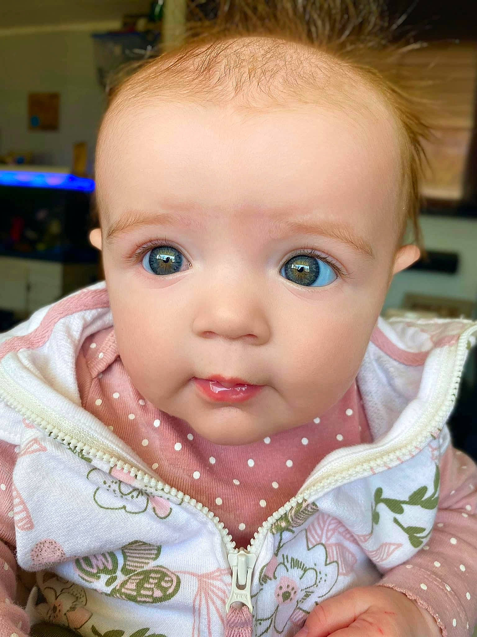 Arizona is registered to the contest to win money with this photo: baby, baby_toddler_clothing, cheek, chin, collar, ear, eye, eyebrow, eyelash, face, head, iris, lip, mouth, neck, nose, organ, person, skin, sleeve