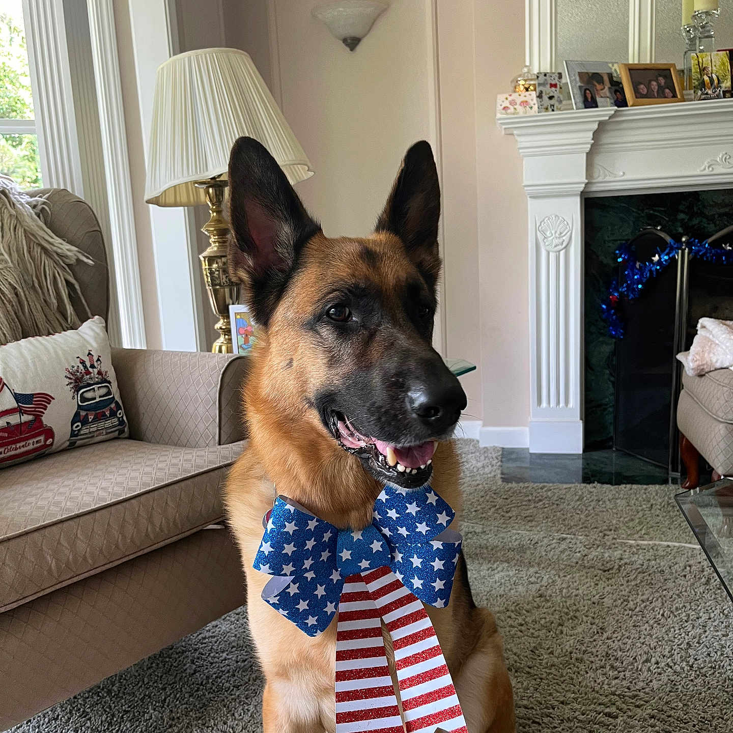 Oliver is registered to the contest to win money with this photo: american_flag, black_mask, bow_tie, brown_fur, carpet, collar, dog, fireplace, german_shepherd, home_decor, indoors, living_room, patriotic, pet, pointed_ears, portrait, sitting, sofa, stars_and_stripes, well_groomed
