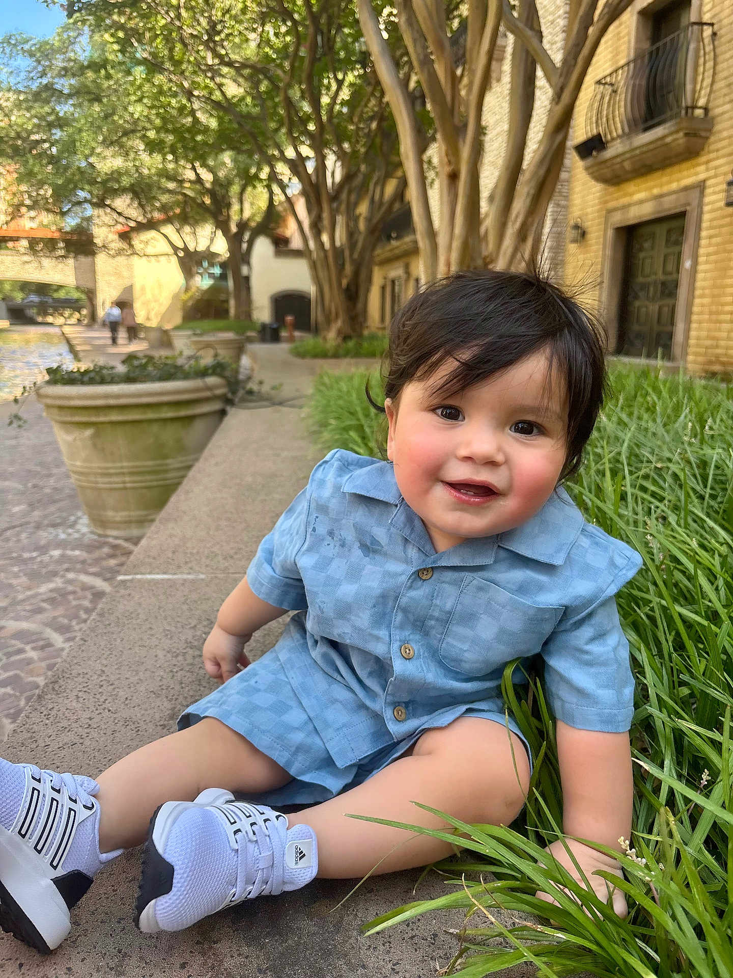 Robert is registered to the contest to win money with this photo: toddler, child, boy, smiling, blue_clothing, white_sneakers, grass, sidewalk, urban, trees, potted_plant, brick_building, outdoor, daylight, face, happy, sitting, cute, short_hair, casual