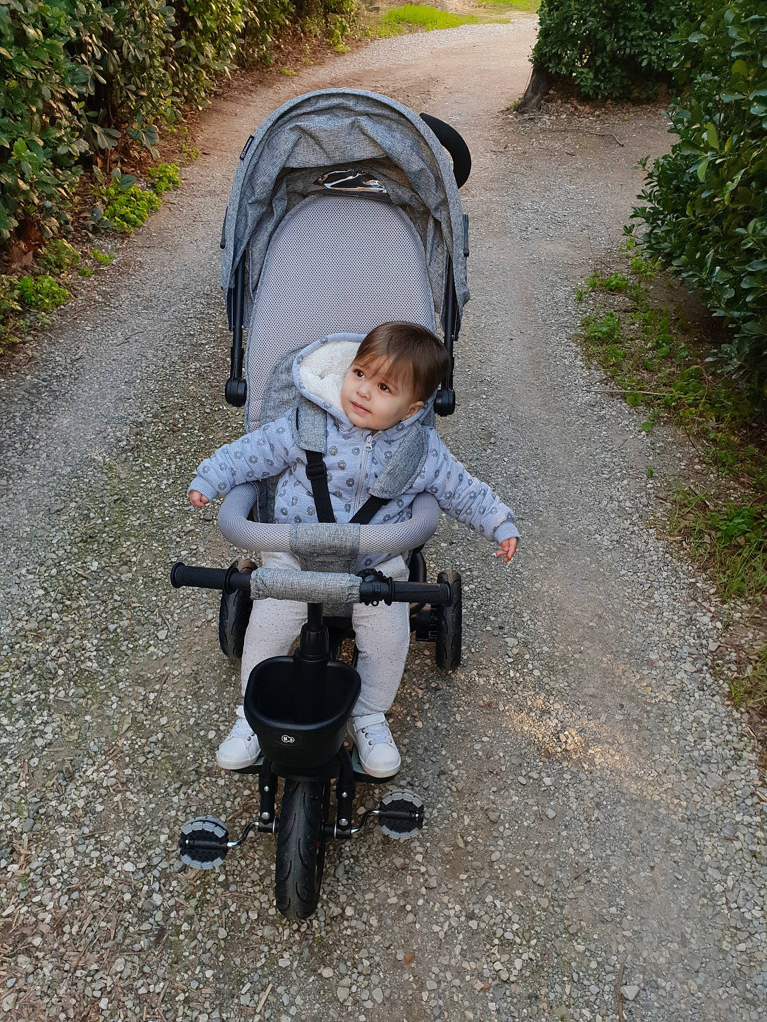 Nalya participe au concours pour gagner de l'argent avec cette photo : auto_part, baby_carriage, baby_products, child, person, product, toddler, vehicle