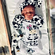 Abilene is registered to the contest to win money with this photo: newborn, baby, sleeping, cow_print, headband, mittens, onesie, stuffed_toy, white_background, infant, cute, soft_lighting, pajamas, lying_down, adorable, child, animal_print, cozy, portrait, indoor