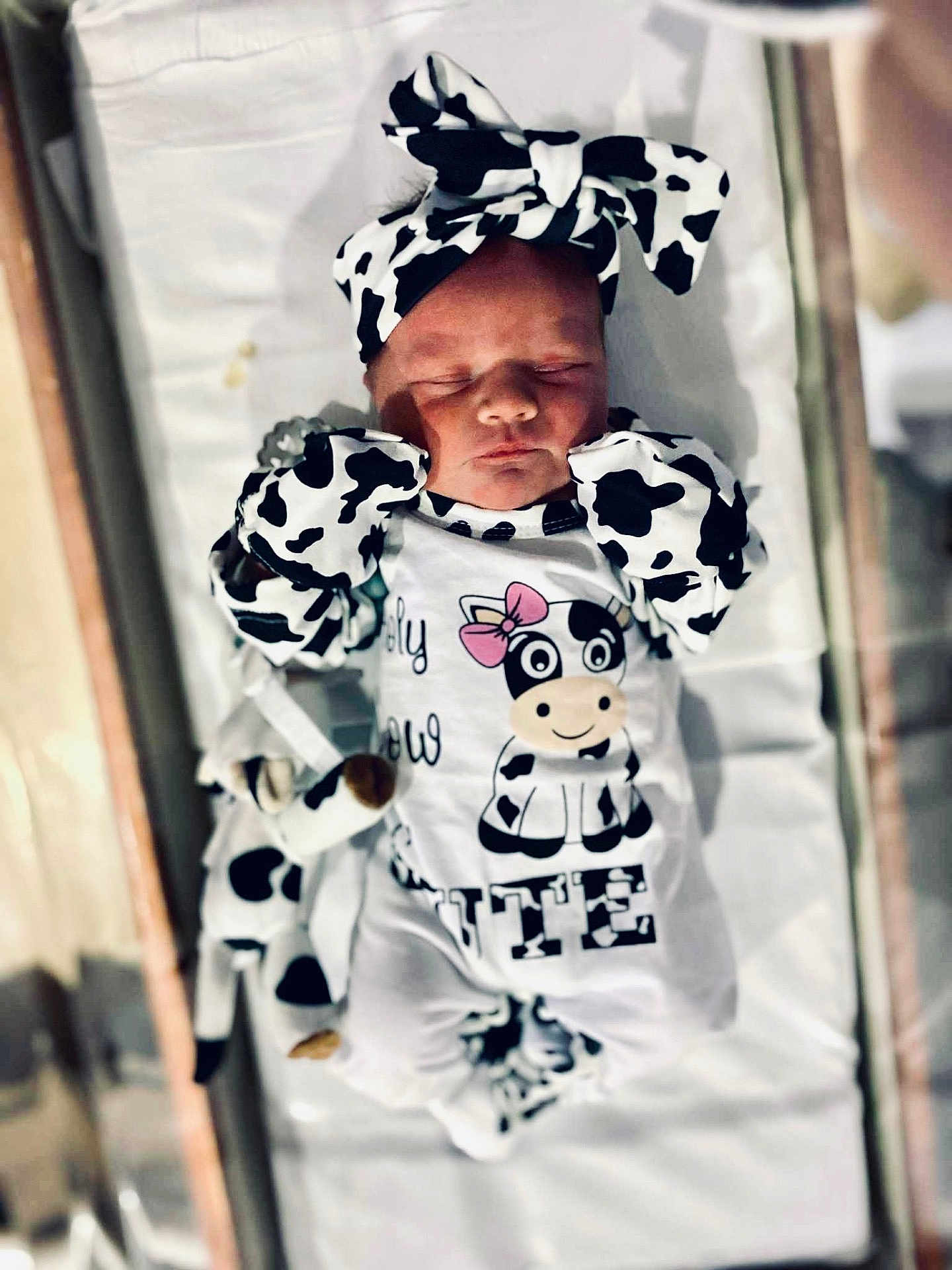 Abilene is registered to the contest to win money with this photo: newborn, baby, sleeping, cow_print, headband, mittens, onesie, stuffed_toy, white_background, infant, cute, soft_lighting, pajamas, lying_down, adorable, child, animal_print, cozy, portrait, indoor