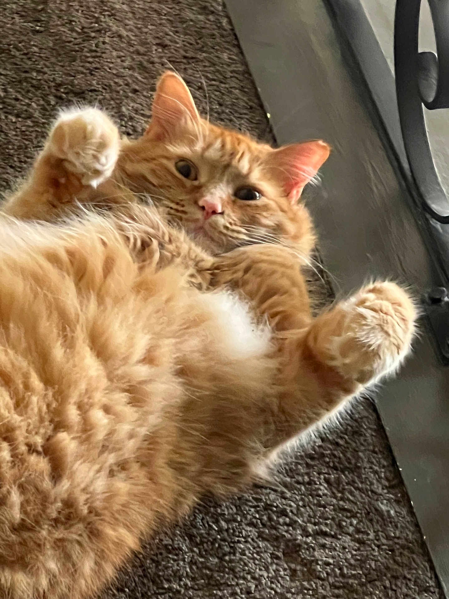 Tom