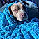 Lola