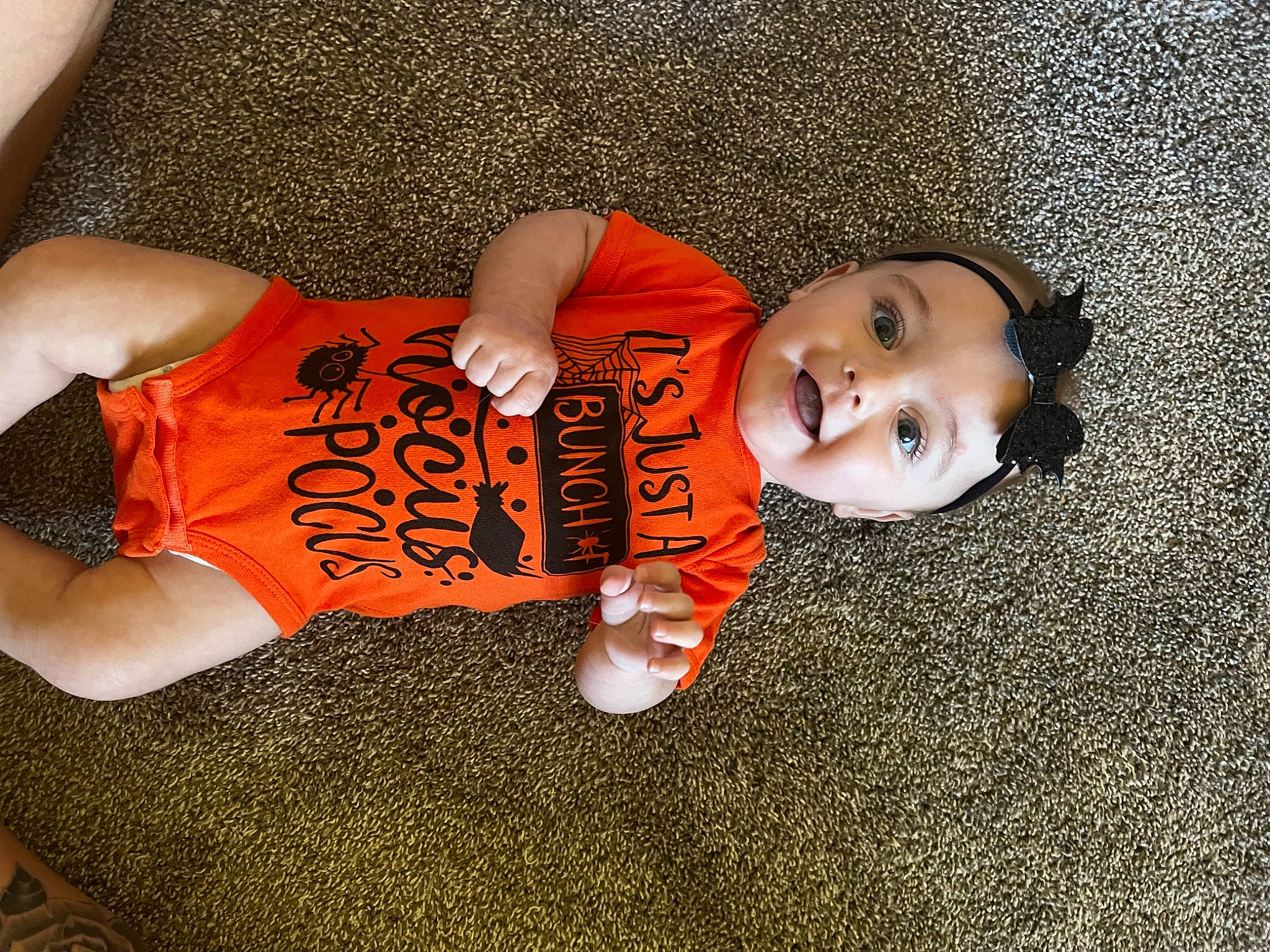 Fallon is registered to the contest to win money with this photo: abdomen, baby_toddler_clothing, chest, child, elbow, flooring, happy, hat, headgear, human_leg, knee, orange, person, sleeve, smile, thigh, toddler, trunk, waist, wood