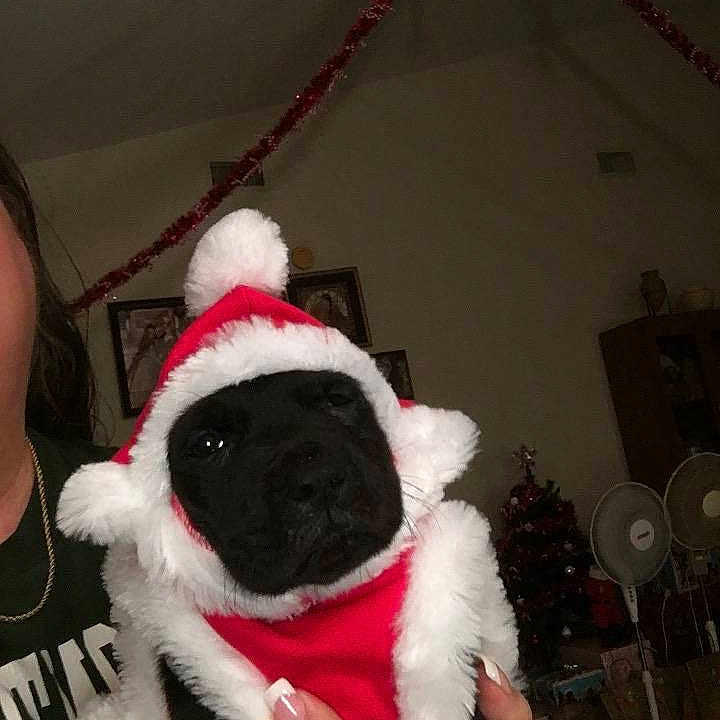 Donald is registered to the contest to win money with this photo: