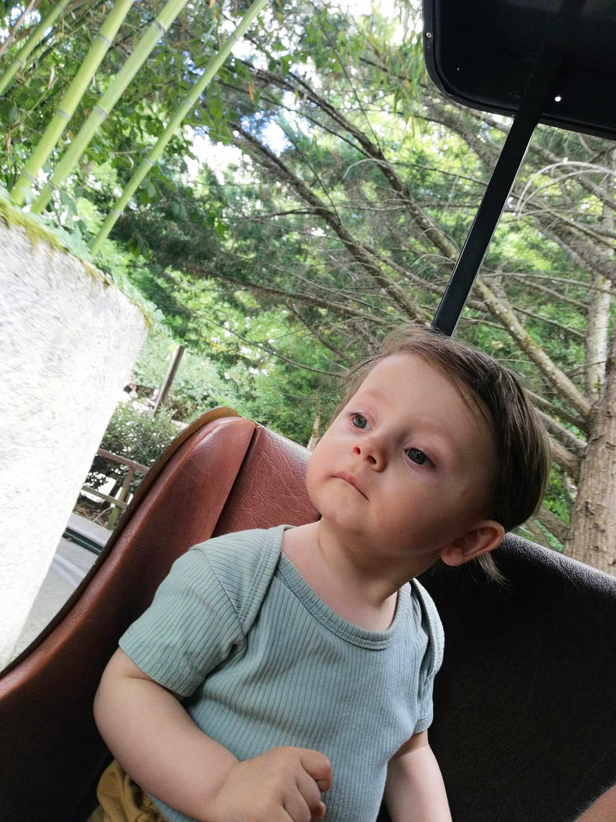 Julian