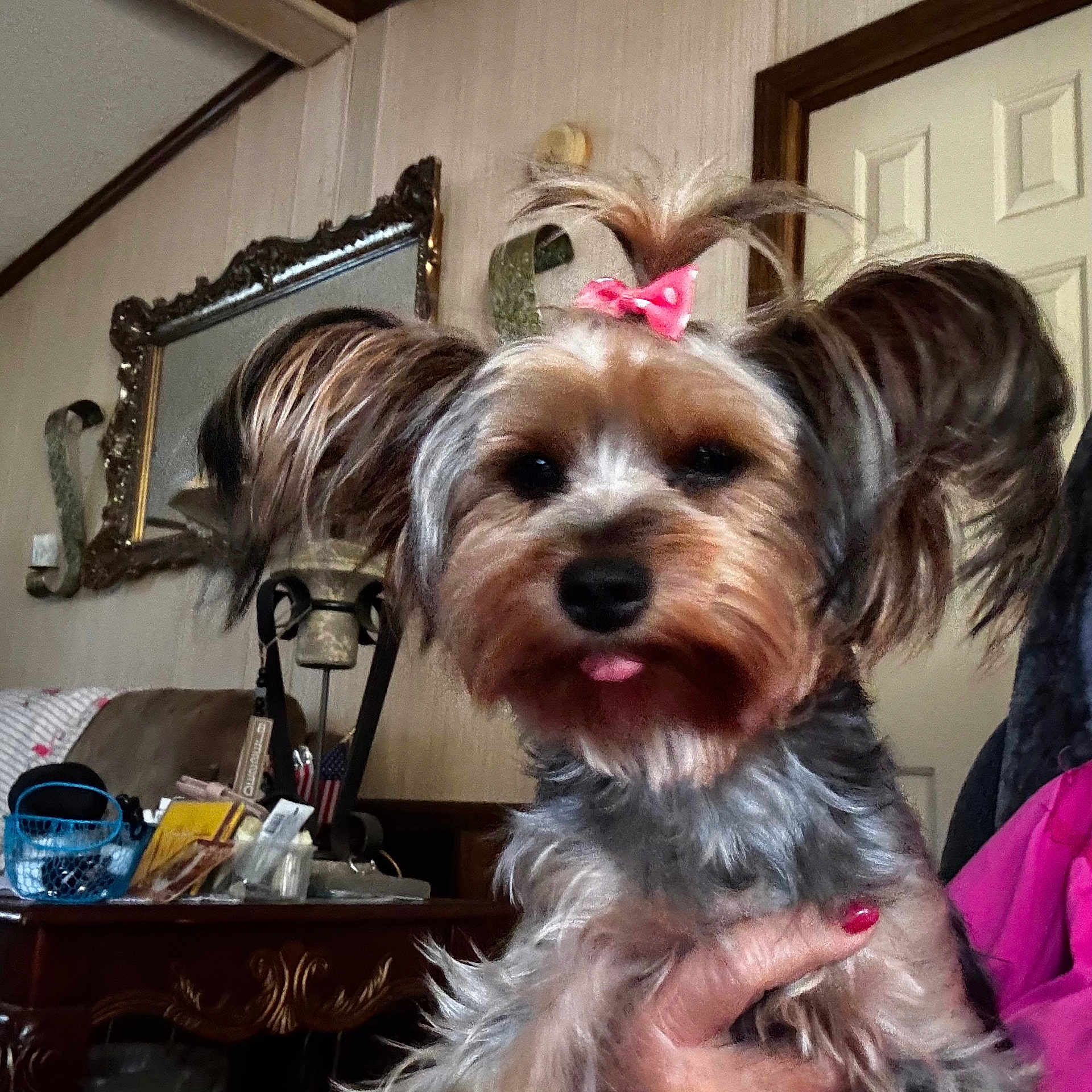 Sadie