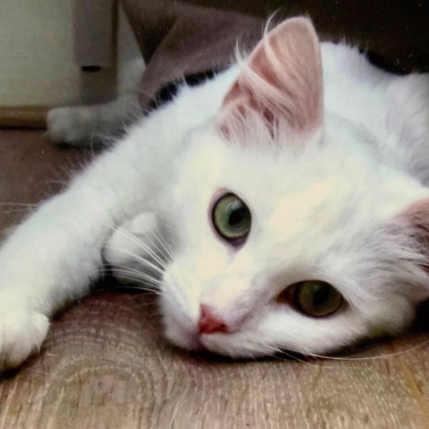 Tosca