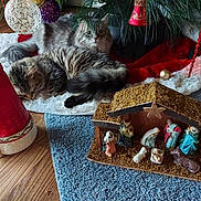 Carter joined the competition — help win amazing prizes! animal, blue_rug, cat, cats, christmas_ornaments, christmas_tree, cozy, decorations, festive, fur, holiday, holiday_decor, indoor, nativity_scene, pet, relaxation, resting, sleeping, tree_skirt, wooden_floor