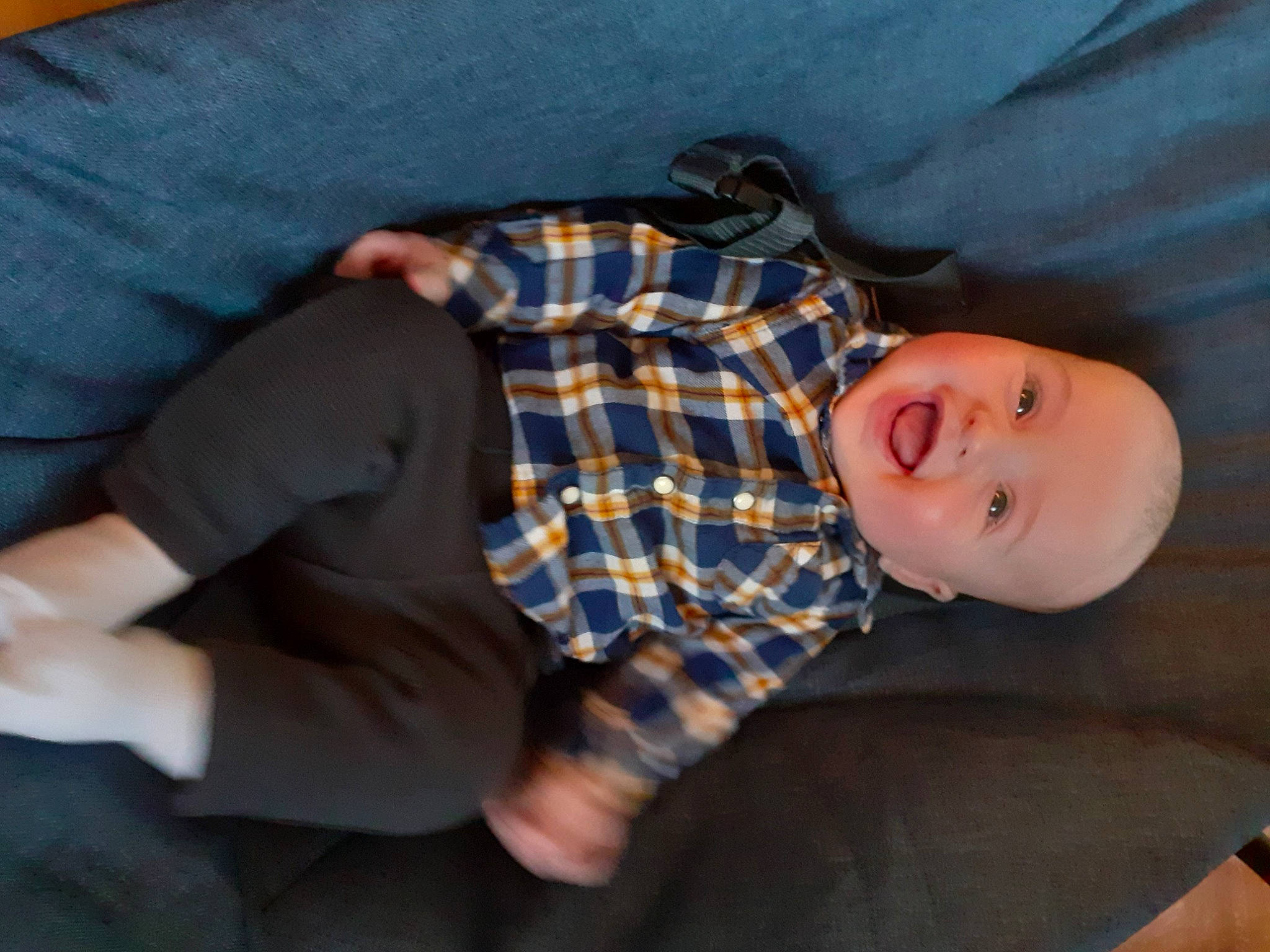 Florentin a rejoint le concours — aidez-le/la à gagner de superbes lots ! baby, baby_toddler_clothing, child, comfort, elbow, gesture, hand, human_leg, lap, leg, pattern, person, plaid, sitting, sleeve, smile, tartan, thigh, toddler, tree