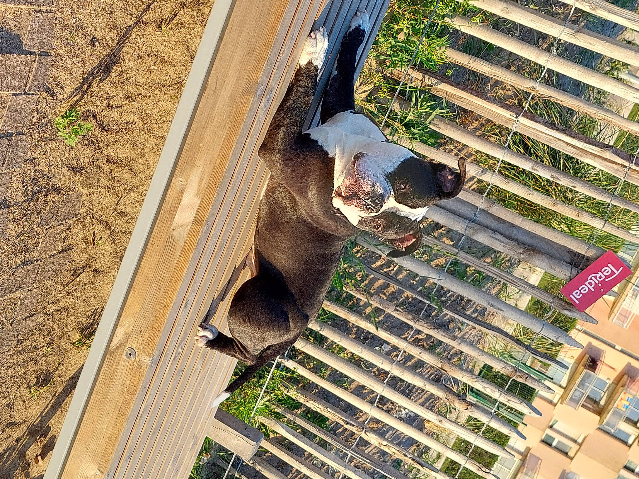 Rox participe au concours pour gagner de l'argent avec cette photo : apartment, building, city, commercial_building, composite_material, condominium, daylighting, facade, grass, metal, mixed_use, plant, roof, soil, thigh, tower_block, urban_design, window