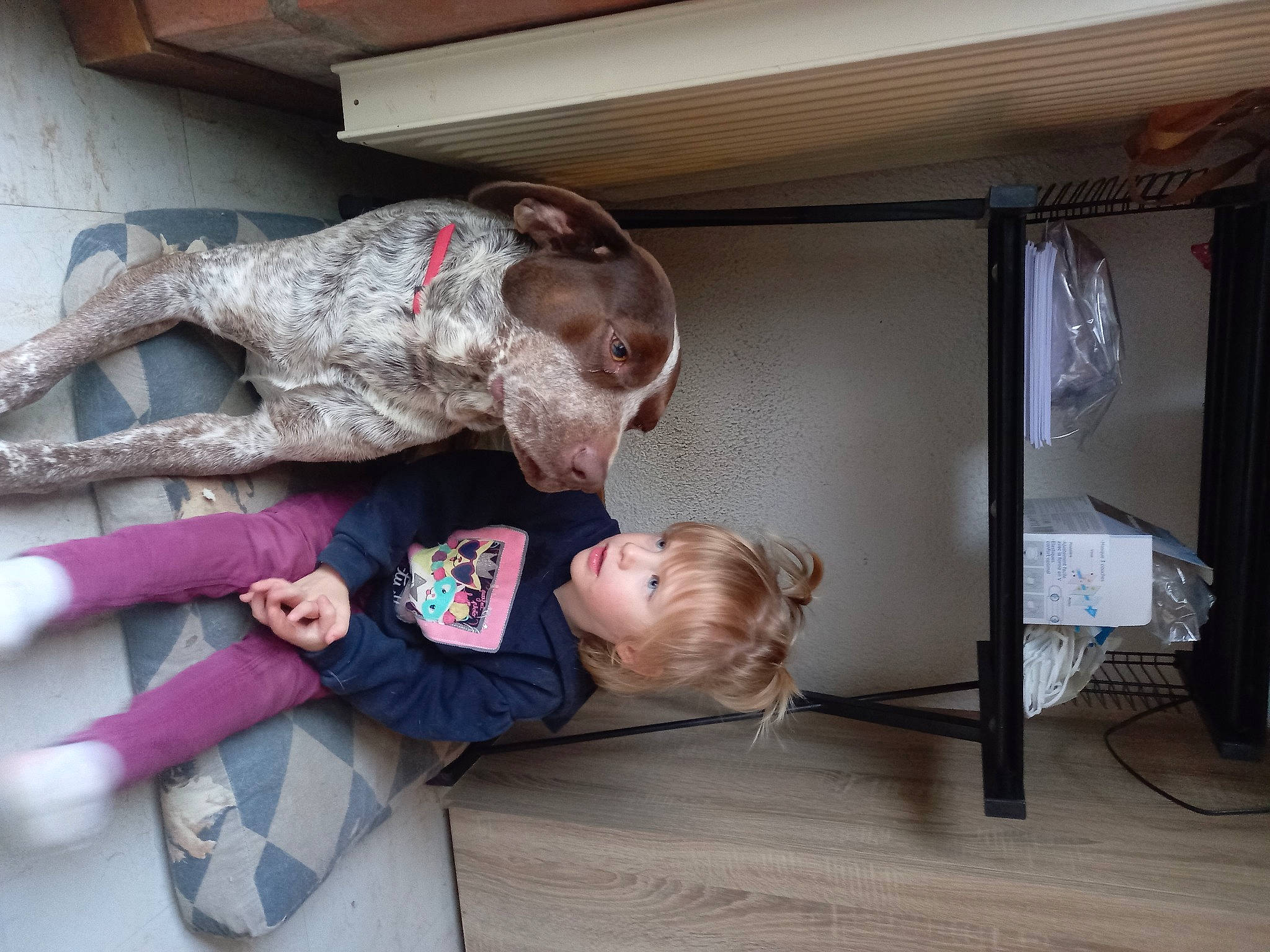 Loanne participe au concours pour gagner de l'argent avec cette photo : baby, baby_products, baby_toddler_clothing, canidae, carnivore, child, comfort, companion_dog, curtain, dog, dog_breed, fawn, flooring, fun, hardwood, leisure, person, room, sporting_group, toddler