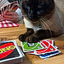 cat, siamese_cat, uno_cards, card_game, table, wooden_table, playing_cards, indoor, person_hand, game_night, pets, domestic_animal, brown_cat, blue_eyes, collar, close_up, focus, relaxed, whiskers, feline