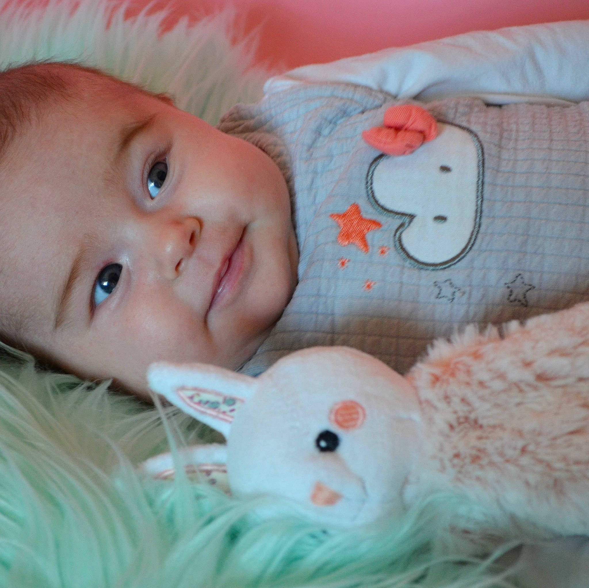 Célia participe au concours pour gagner de l'argent avec cette photo : cheek, child, ear, eye, face, head, infant, iris, lip, mouth, nose, person, pink, product, rabbit, rabits_and_hares, skin, smile, stuffed_toy, textile