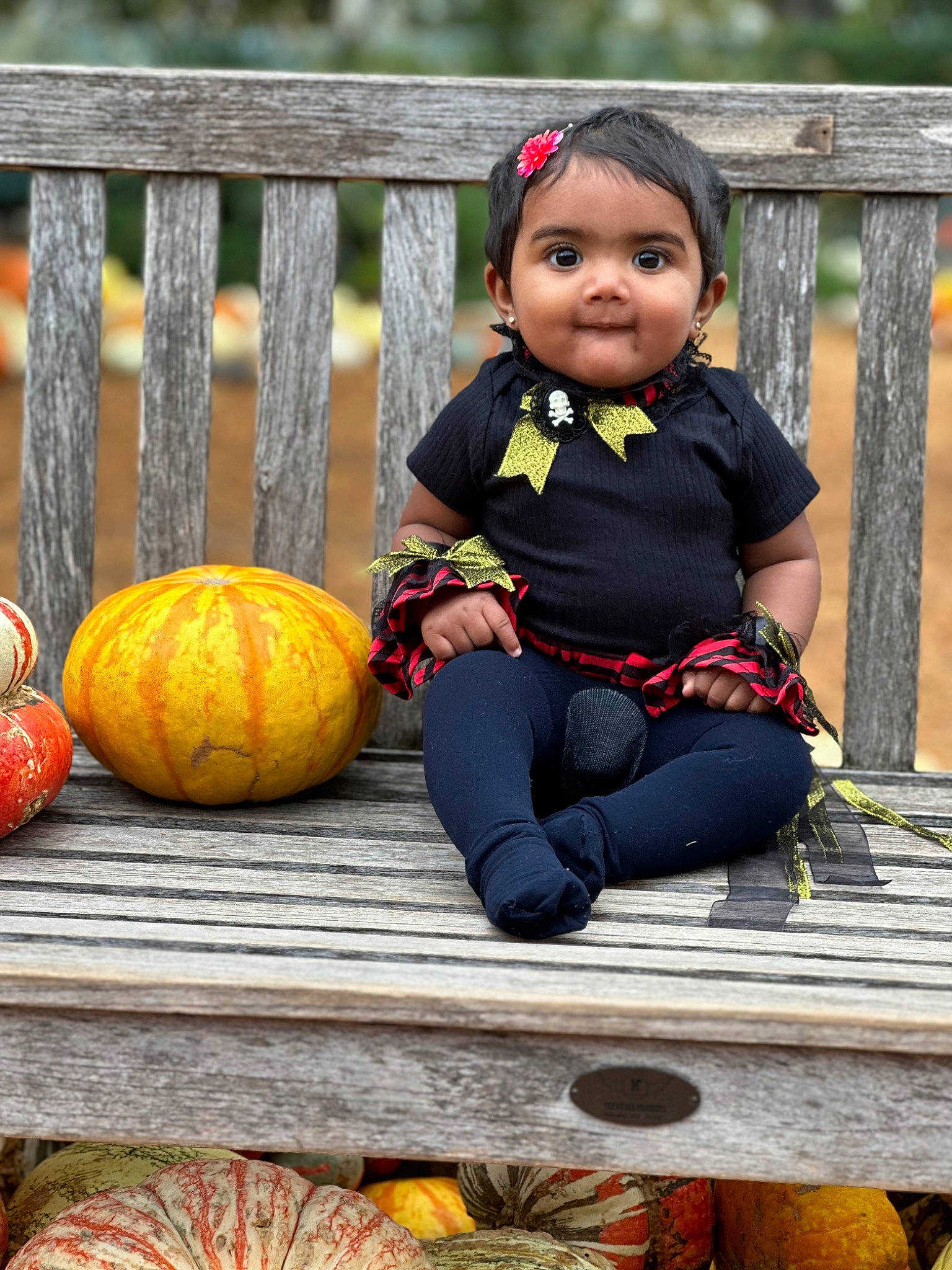 Hannah is registered to the contest to win money with this photo: baby, baby_toddler_clothing, calabaza, cucurbita, fence, gourd, grass, happy, leisure, natural_foods, orange, person, plant, pumpkin, squash, toddler, tree, vegetable, whole_food, winter_squash