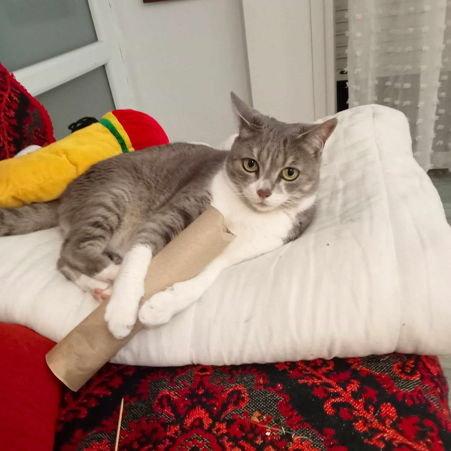 Lili