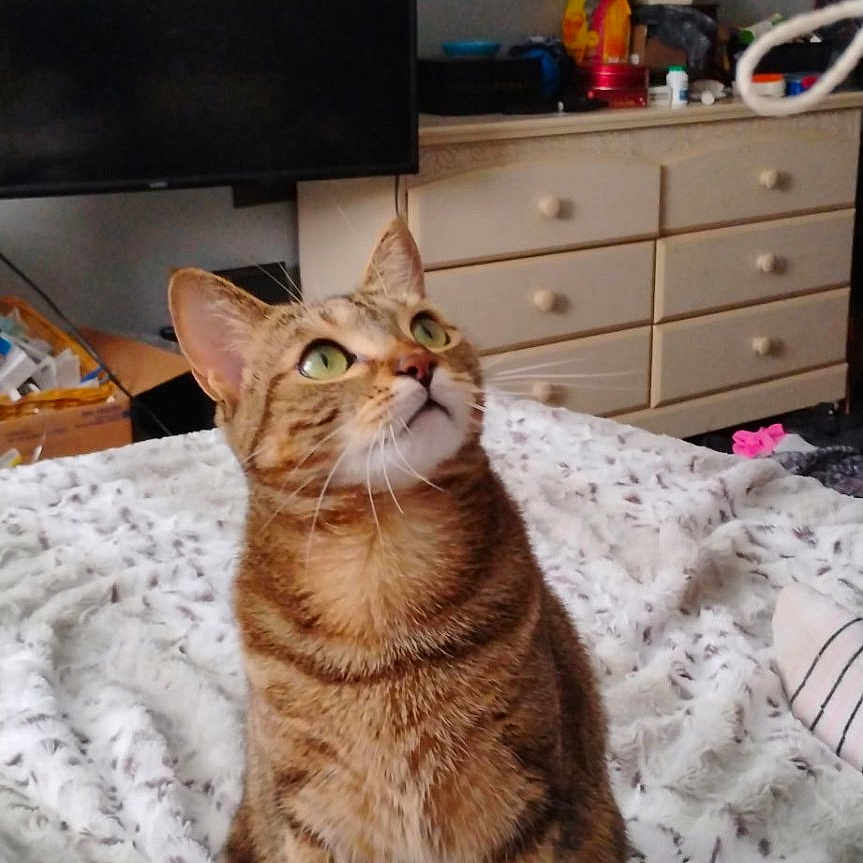 Sammy
