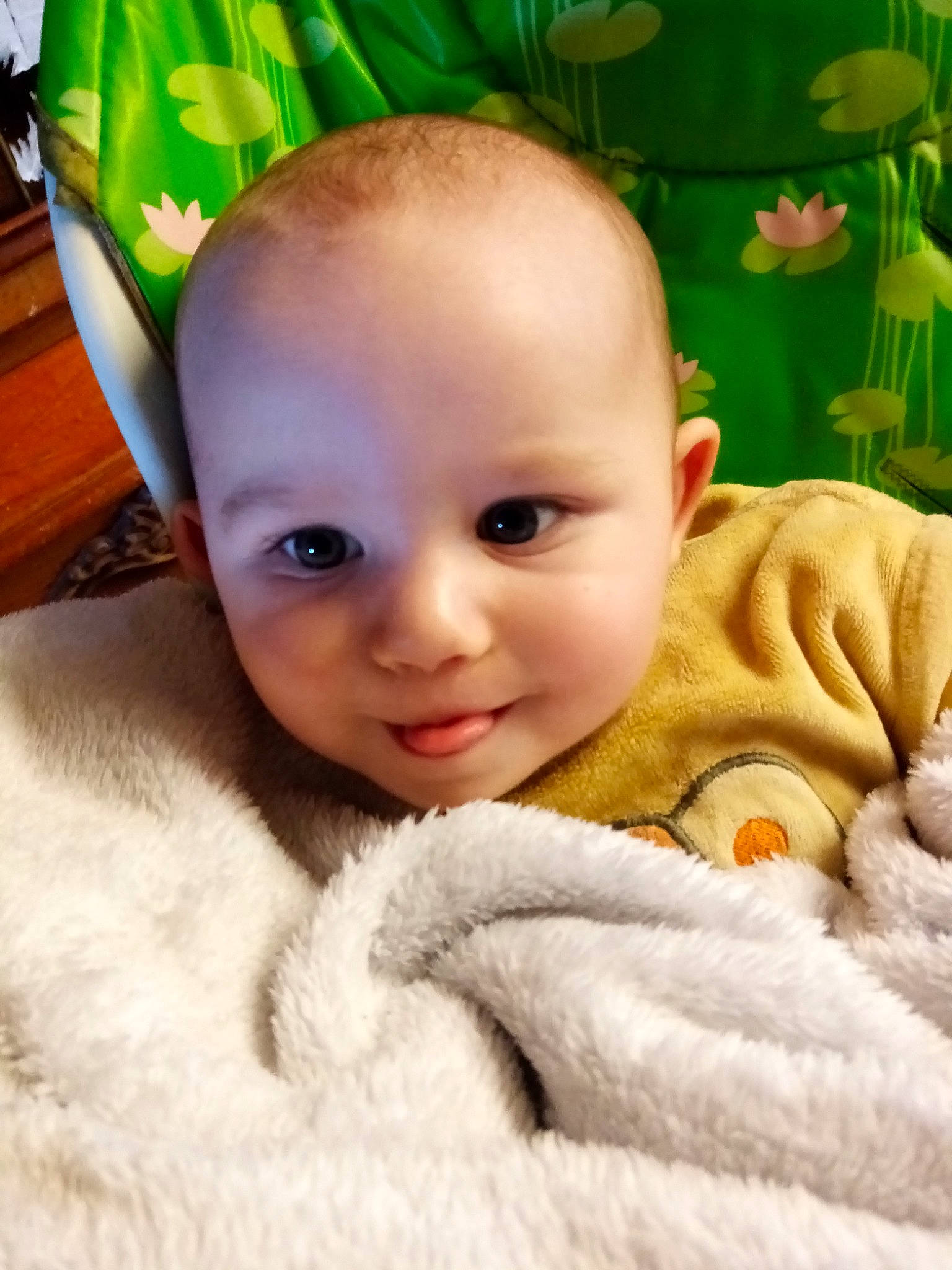 Nino participe au concours pour gagner de l'argent avec cette photo : baby, cheek, child, ear, eye, face, forehead, fur, head, iris, lip, nose, person, skin, smile, toddler, tummy_time