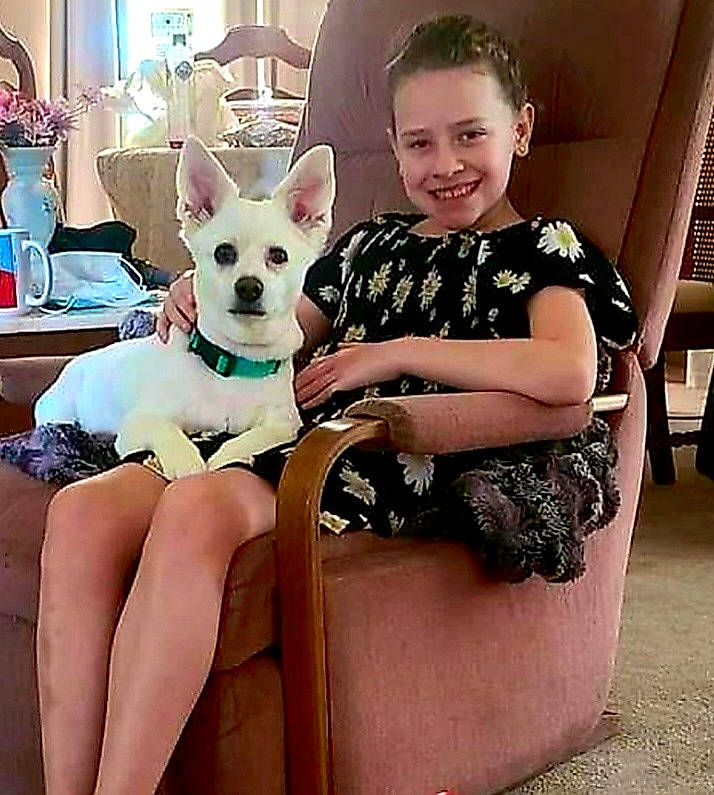 Jazlynn joined the competition — help win amazing prizes! carnivore, chair, comfort, companion_dog, dog, dog_breed, eyewear, fawn, fun, happy, human_leg, joy, lap, leisure, organ, person, sitting, smile, sporting_group, t_shirt