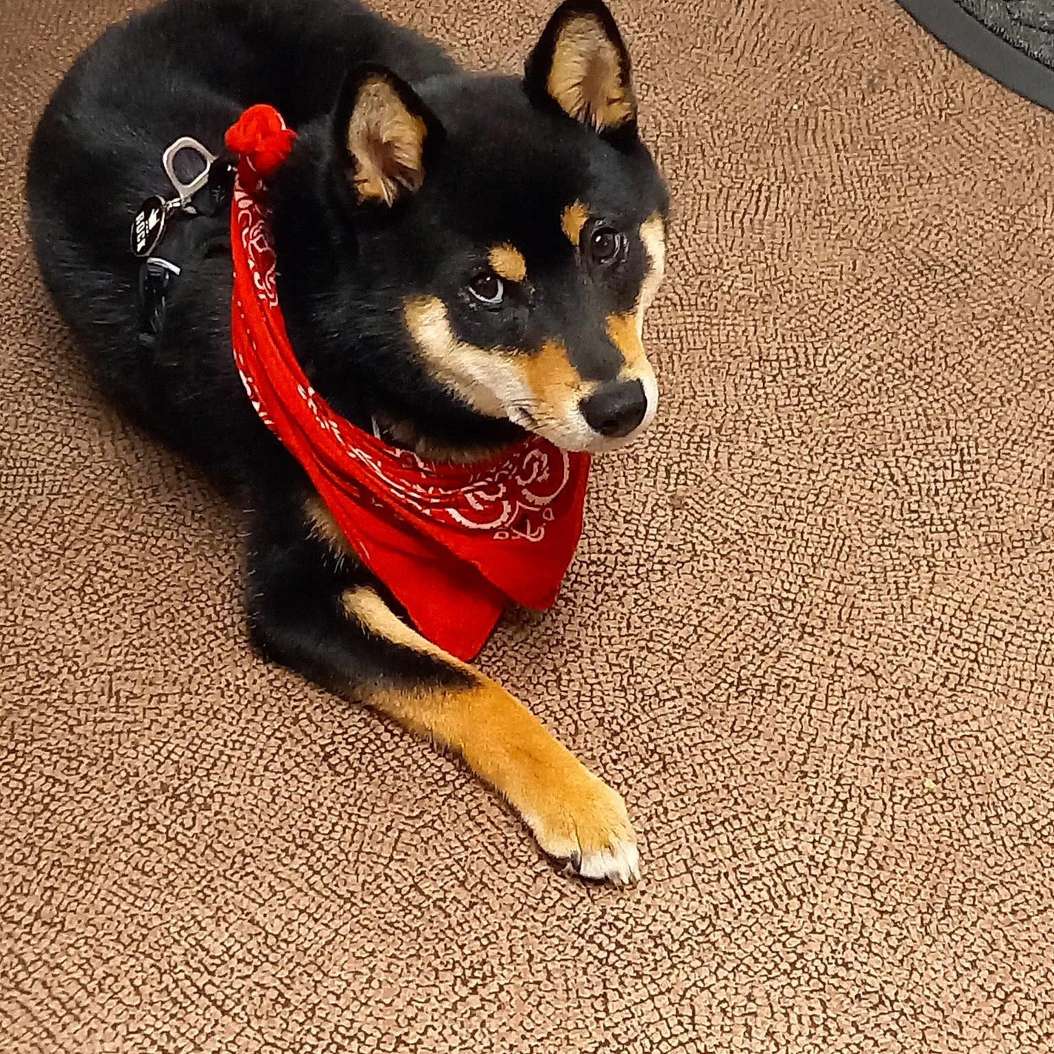Sysko