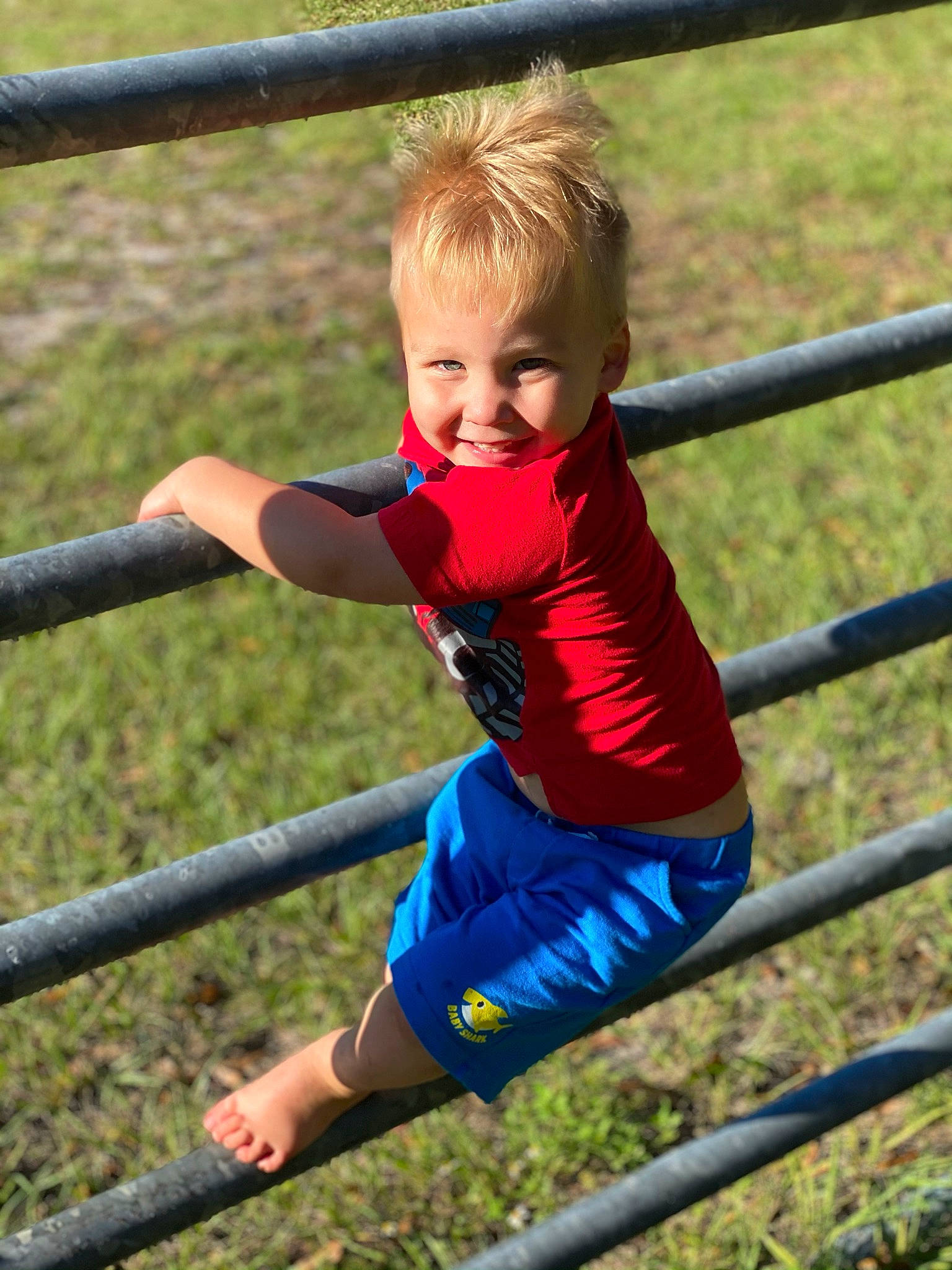 Oliver joined the competition — help win amazing prizes! active_shorts, child, city, electric_blue, fun, grass, happy, joy, leisure, outdoor_play_equipment, people_in_nature, person, play, player, recreation, shorts, sitting, sports, swing, t_shirt