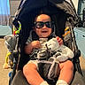 baby, baby_clothes, car_seat, child, clothing, footwear, furniture, happy, headwear, indoor, person, room, seatbelt, smiling, sock, stroller, stuffed_bear, sunglasses, toy, window
