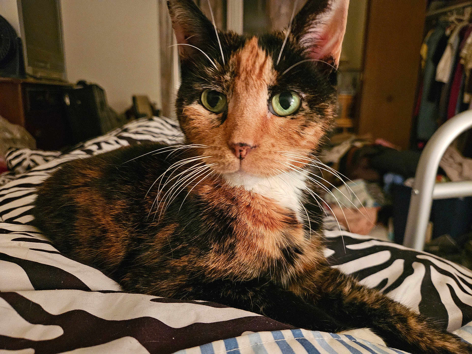 Rosie