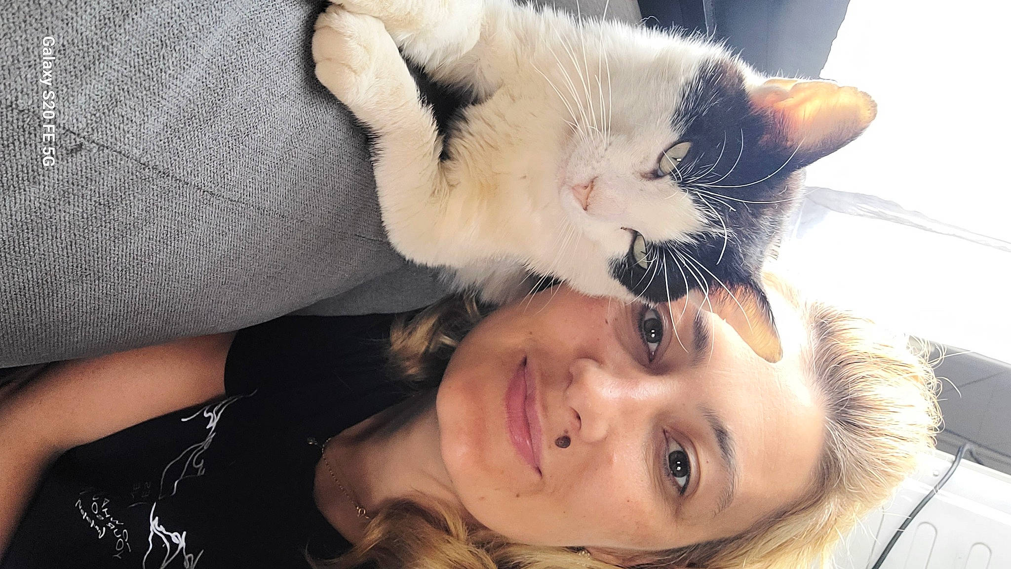 Felix participe au concours pour gagner de l'argent avec cette photo : beard, carnivore, cat, comfort, dress, ear, eye, eyebrow, eyelash, felidae, gesture, happy, iris, jaw, mouth, neck, nose, skin, small_to_medium_sized_cats, smile