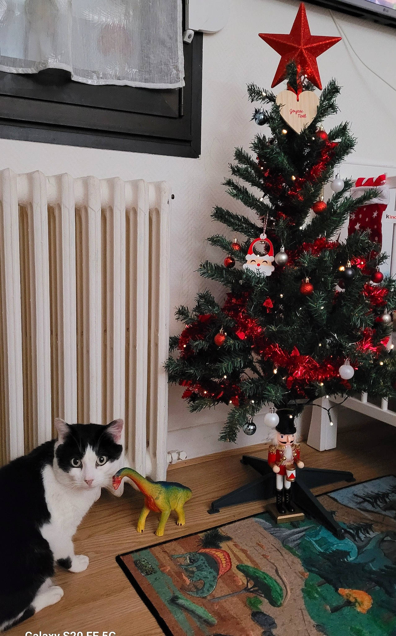 Felix a rejoint le concours — aidez-le/la à gagner de superbes lots ! black, carnivore, cat, christmas_decoration, christmas_ornament, christmas_tree, decoration, evergreen, felidae, green, holiday_ornament, interior_design, larch, living_room, ornament, plant, tree, white, window, wood