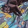 black_cat, sleeping, blanket, patterned_blanket, leopards, birds, colorful, indoor, cozy, animal, pet, resting, fur, whiskers, claws, soft_texture, nature_pattern, tropical, relaxation, domestic_cat