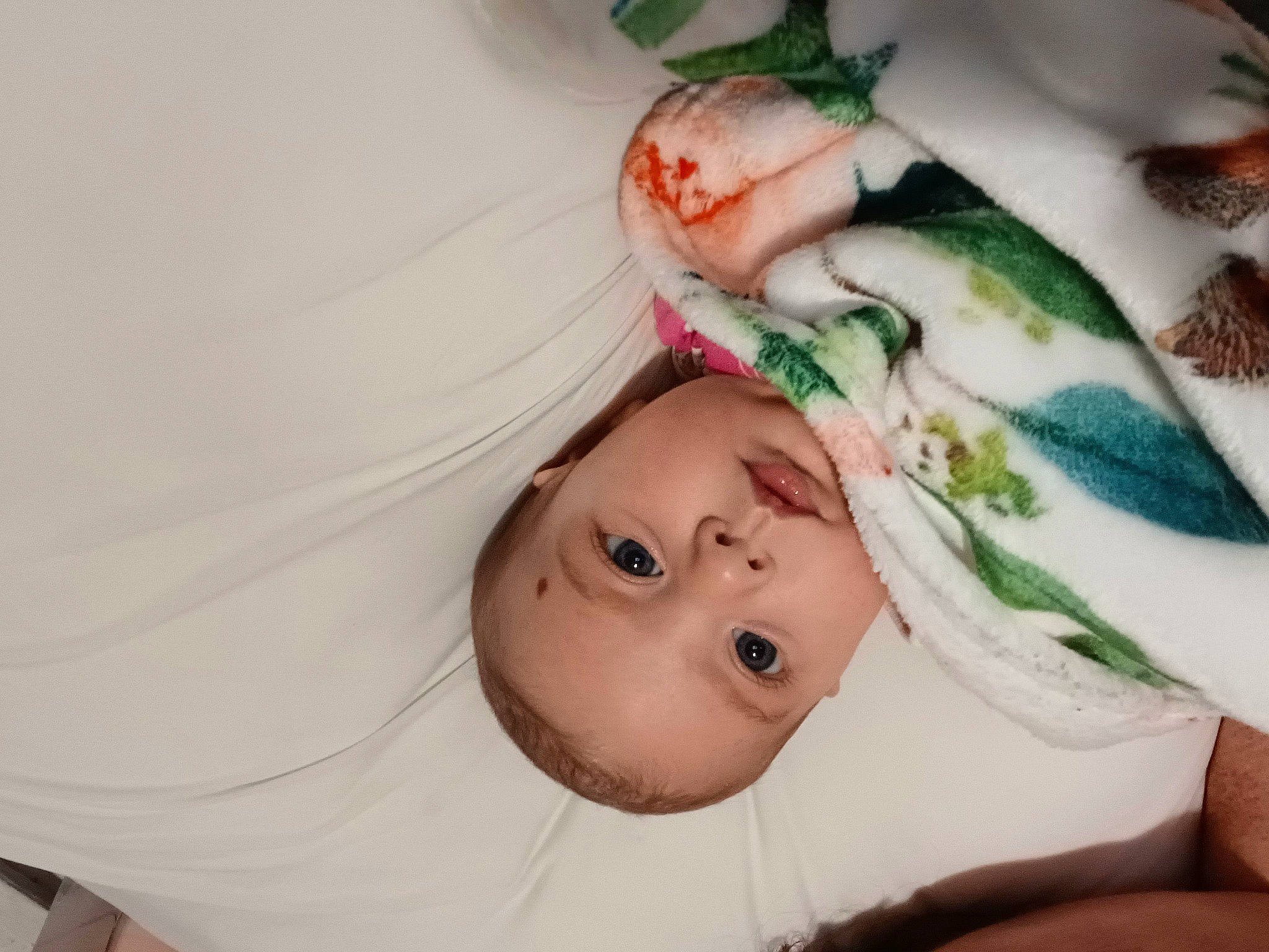 Sydney joined the competition — help win amazing prizes! baby, cheek, child, cut_flowers, dress, event, eyebrow, eyelash, fashion_accessory, hair_accessory, happy, headgear, headpiece, linens, person, petal, room, rose, smile, toddler