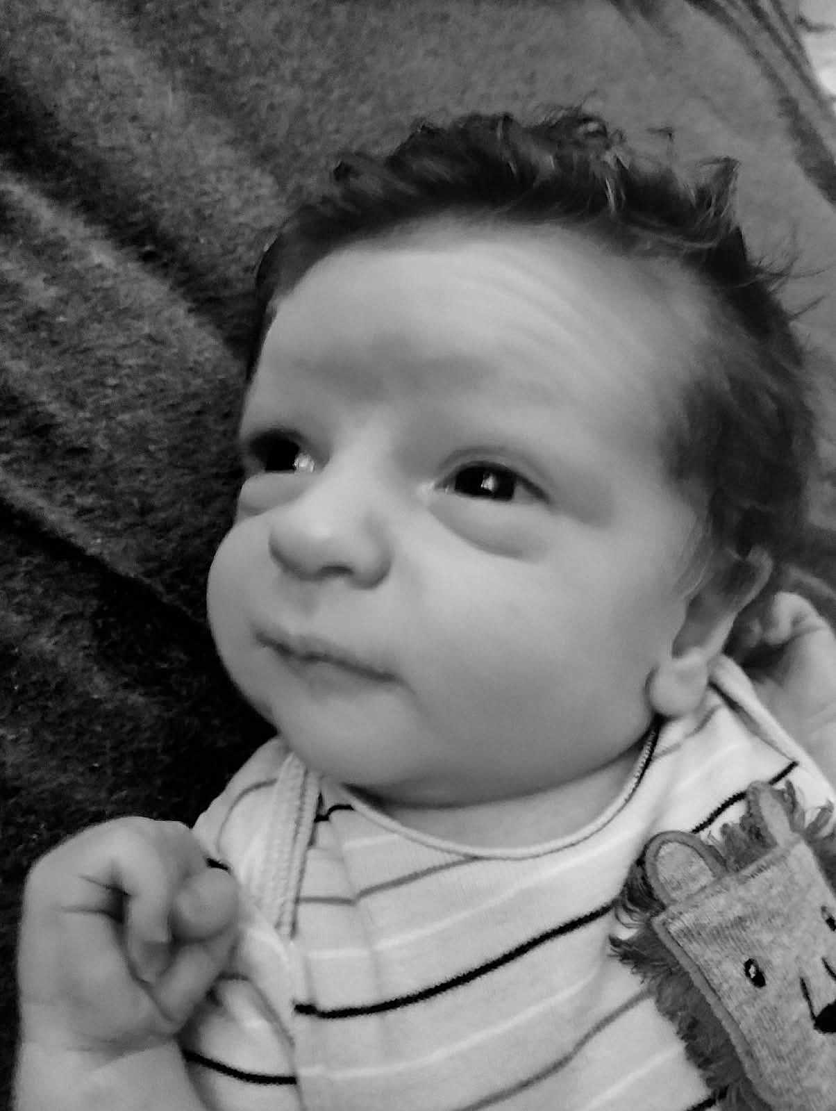 Dylan