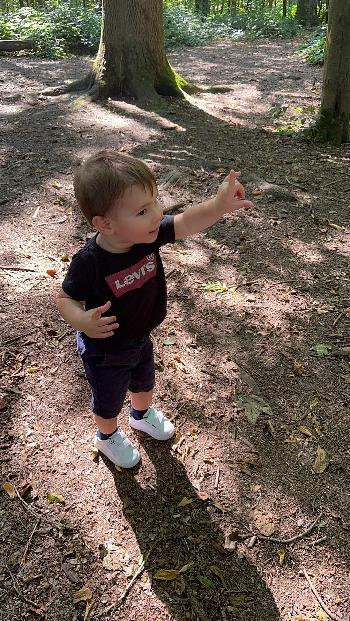 Ylanno participe au concours pour gagner de l'argent avec cette photo : child, forest, fun, grass, leisure, people_in_nature, person, plant, play, recreation, shorts, sneakers, soil, t_shirt, toddler, trail, tree, trunk, walking, wood