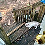animal, background, blur, cat, daylight, dirt, door, door_knob, fence, leaves, nature, old_fence, outdoor, pet, rust, rustic, white_cat, wood, wooden_porch, yard