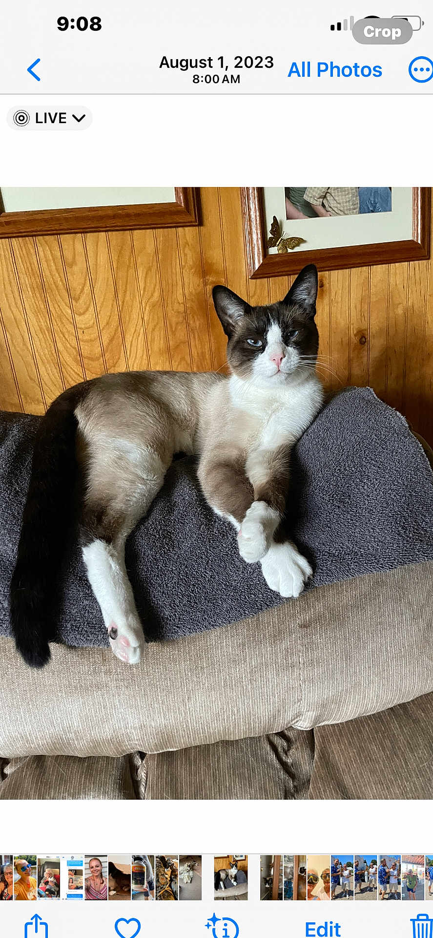 Niko