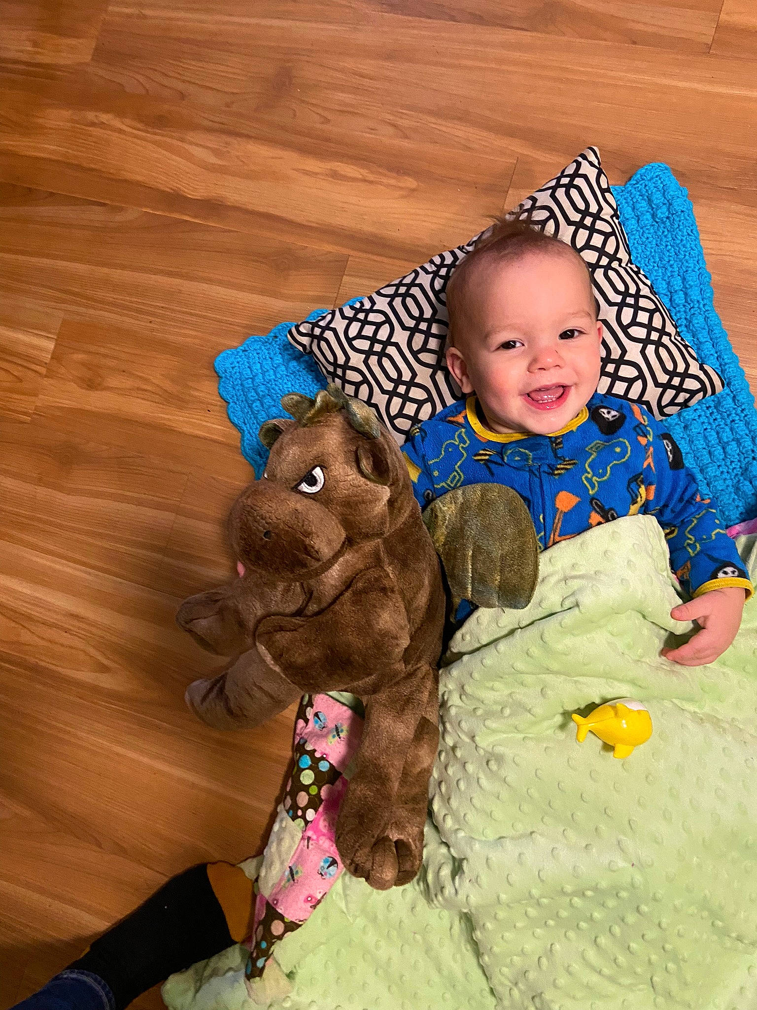 Finley joined the competition — help win amazing prizes! baby, baby_toddler_clothing, child, companion_dog, dog_breed, fawn, flooring, fun, fur, happy, hardwood, joy, leisure, person, play, plush, smile, stuffed_toy, teddy_bear, toddler
