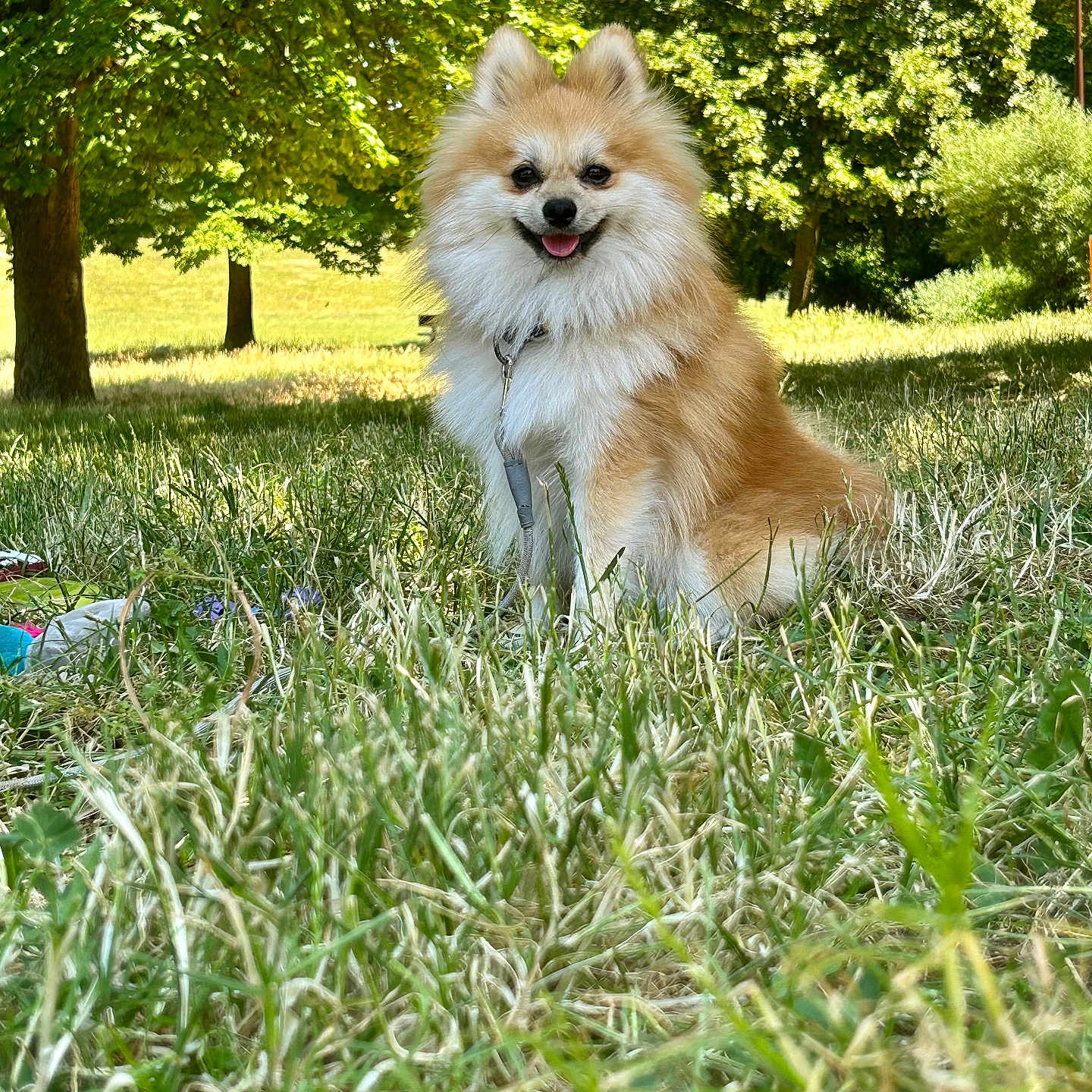 Sam