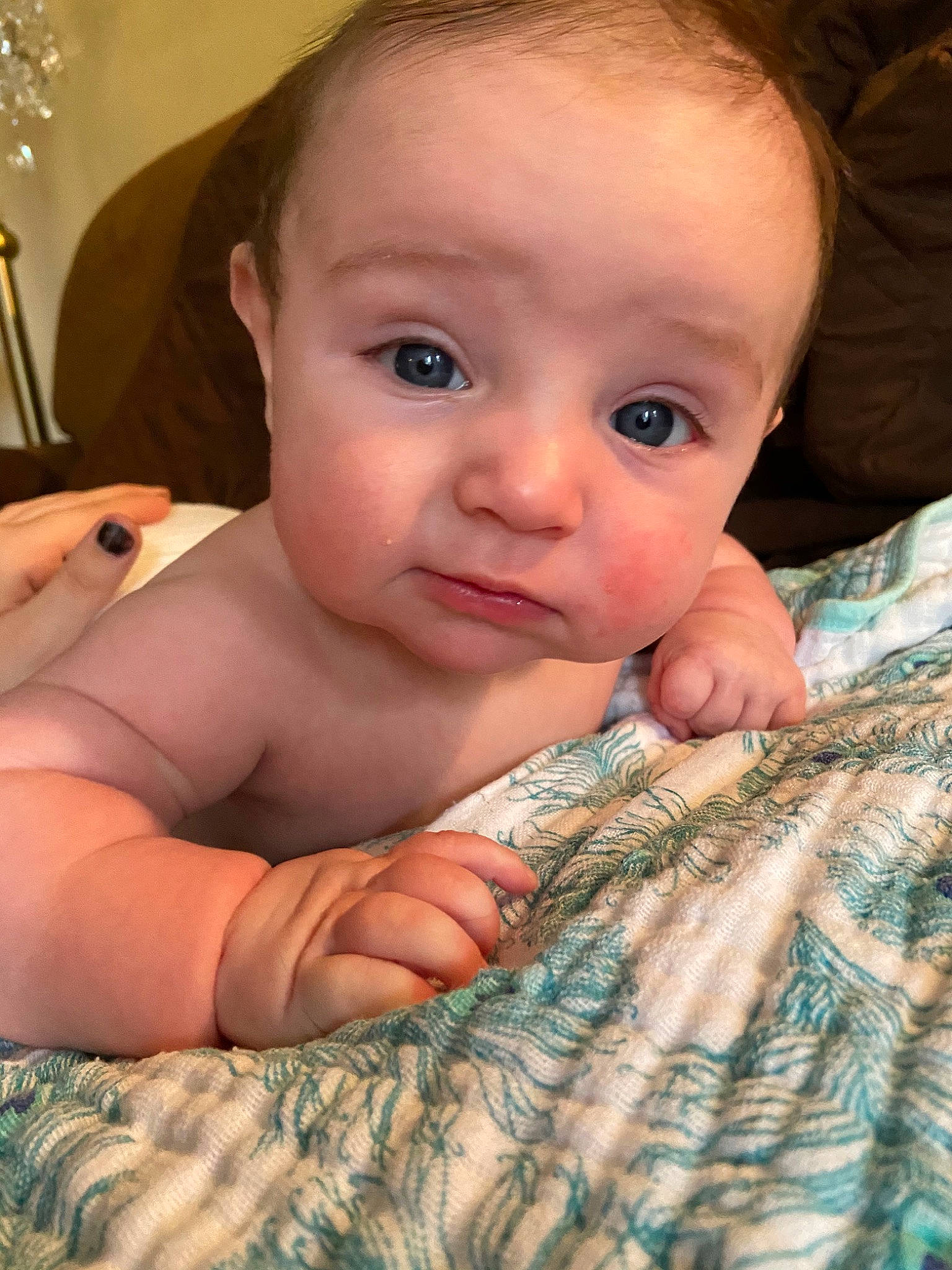 Alec joined the competition — help win amazing prizes! baby, cheek, child, chin, eye, eyebrow, face, finger, forehead, hand, head, iris, lip, mouth, muscle, nose, organ, person, skin, thumb