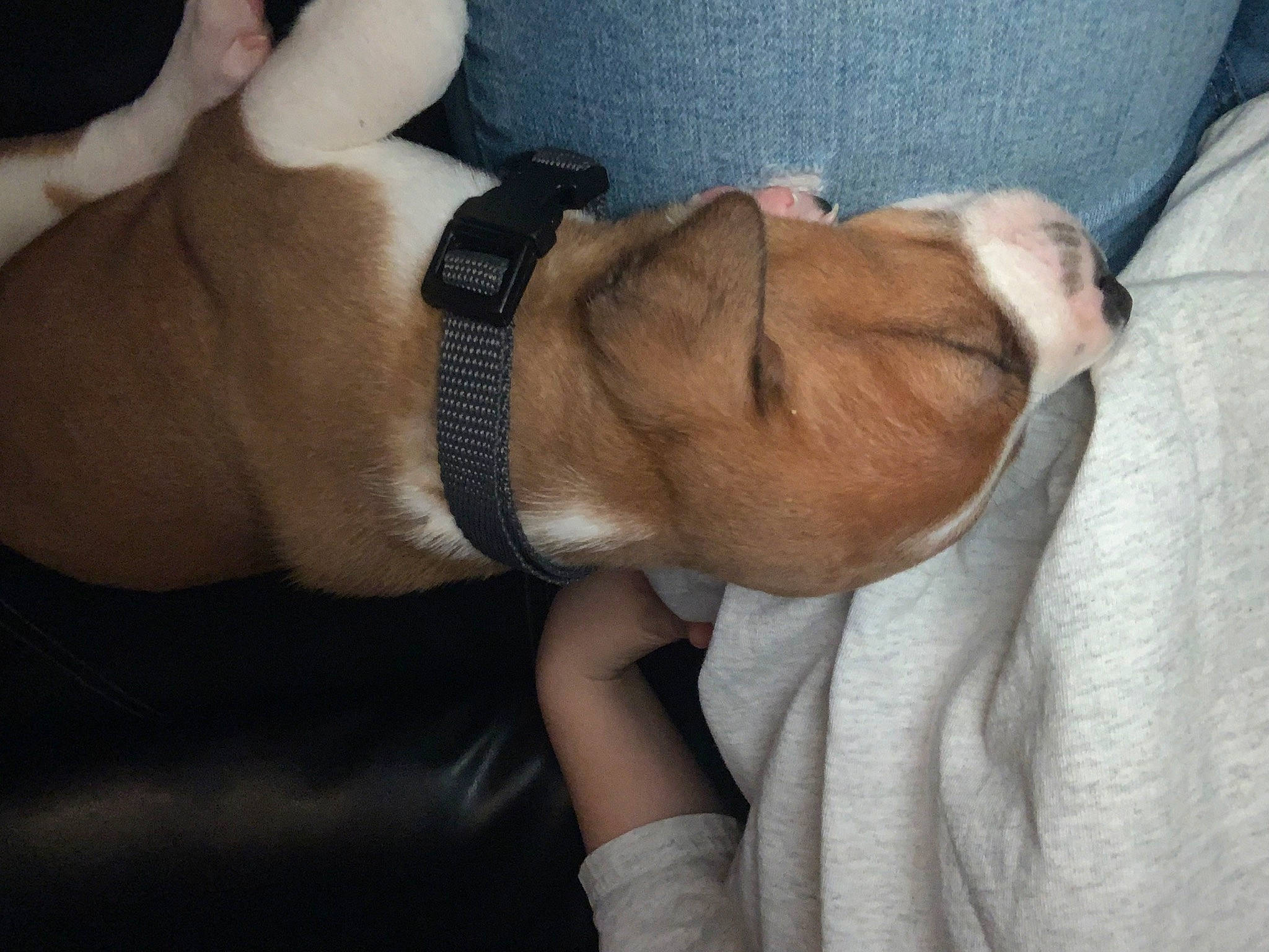 Rip is registered to the contest to win money with this photo: abdomen, beard, chest, comfort, elbow, finger, foot, gesture, glasses, hand, human_leg, joint, knee, nail, sleeve, sunglasses, thigh, thumb, trunk, wrist