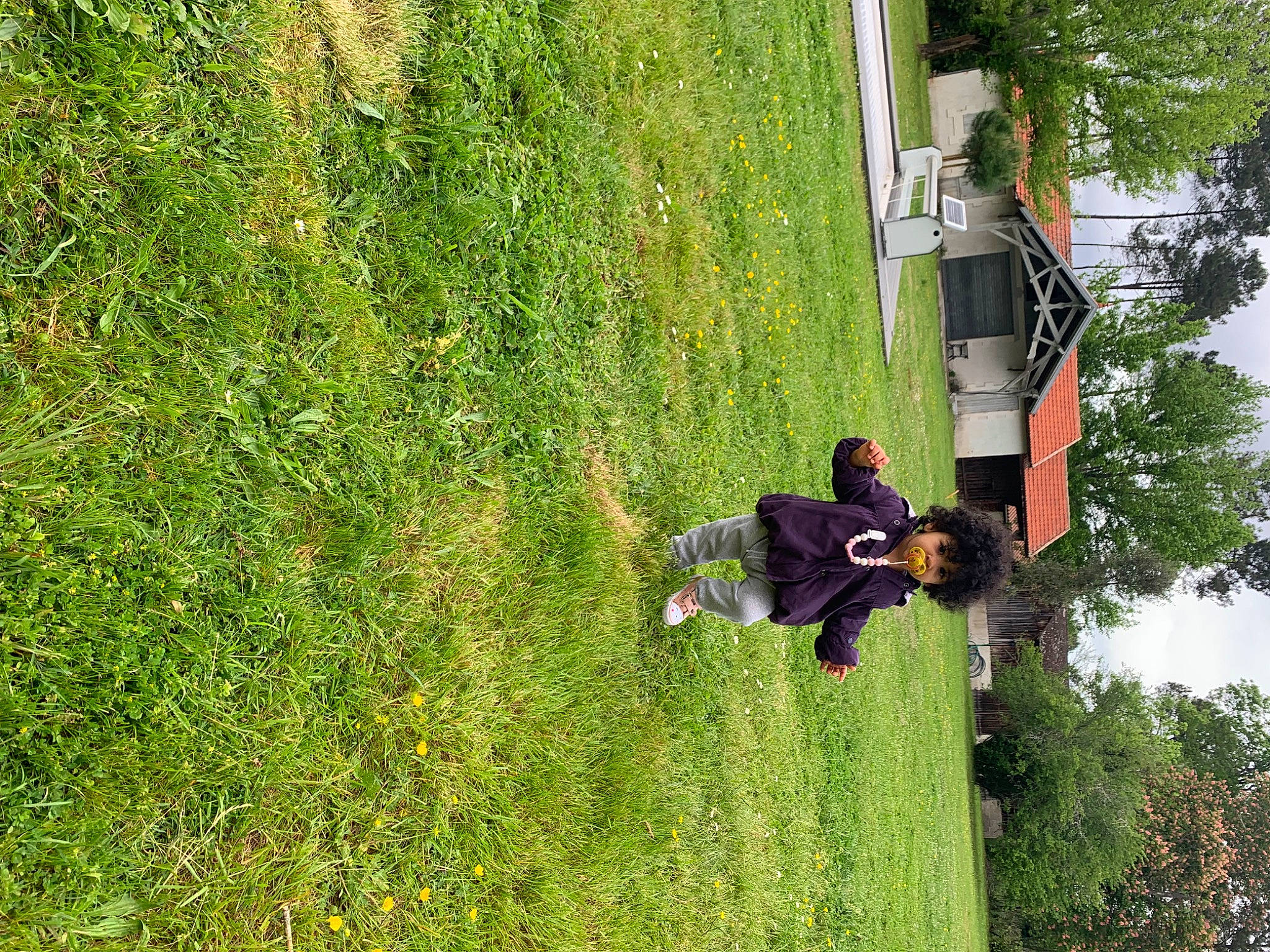 Abygaelle a rejoint le concours — aidez-le/la à gagner de superbes lots ! adventure, biome, extreme_sport, fun, grass, grass_family, grassland, groundcover, landscape, leisure, pasture, people_in_nature, person, plant, pole, recreation, shrub, sky, slope, tree