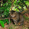 Suki R.
