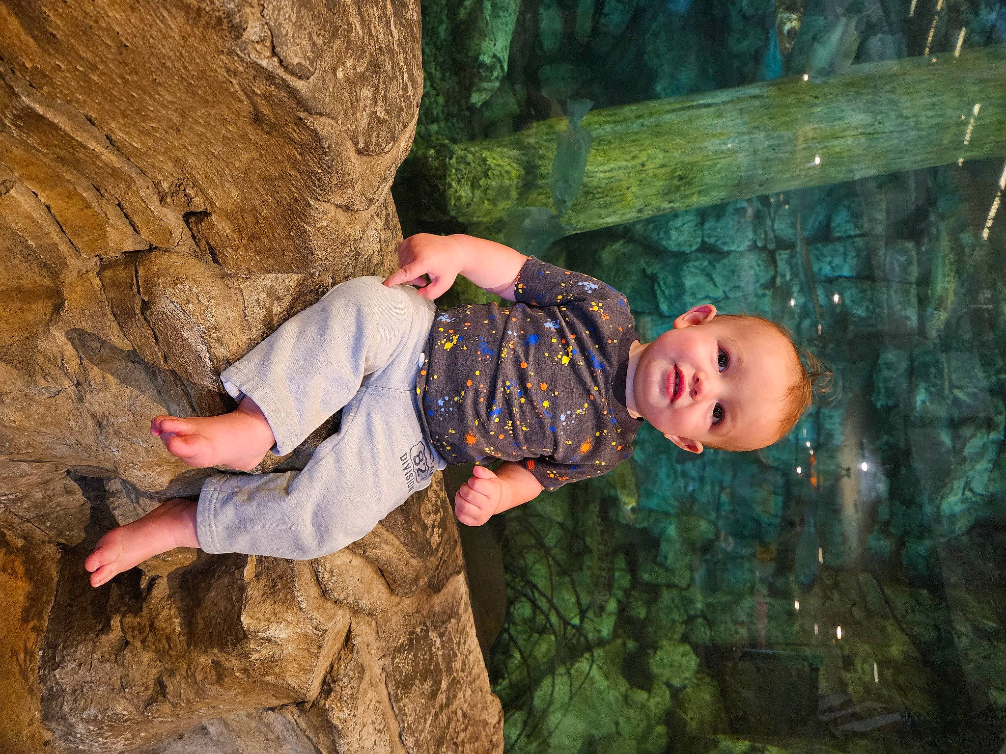 Reese is registered to the contest to win money with this photo: adventure, bedrock, formation, fun, grass, happy, landscape, leisure, organism, outcrop, people_in_nature, person, plant, rock, soil, terrestrial_plant, toddler, tree, trunk, wilderness