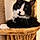 Tux