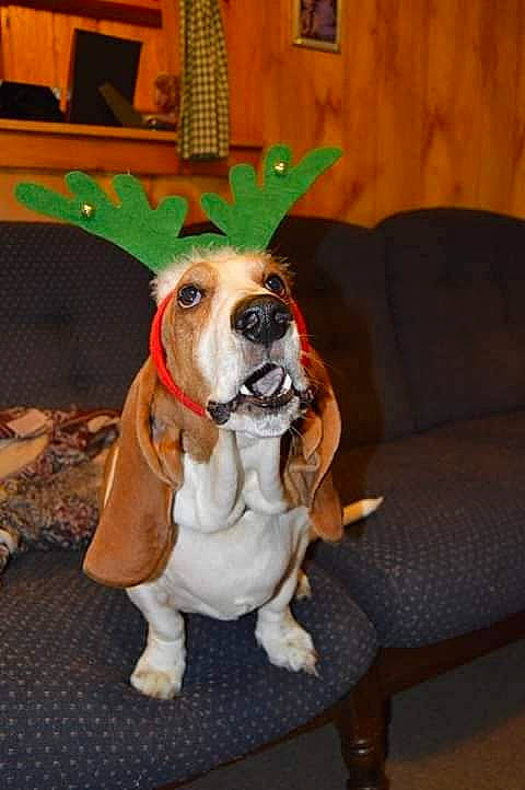 Cooper Ccornelius Wallace