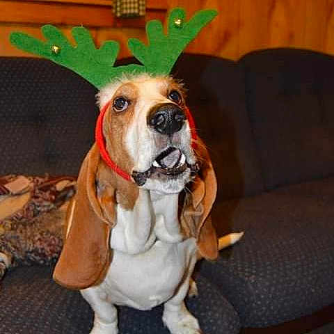 Cooper Ccornelius Wallace