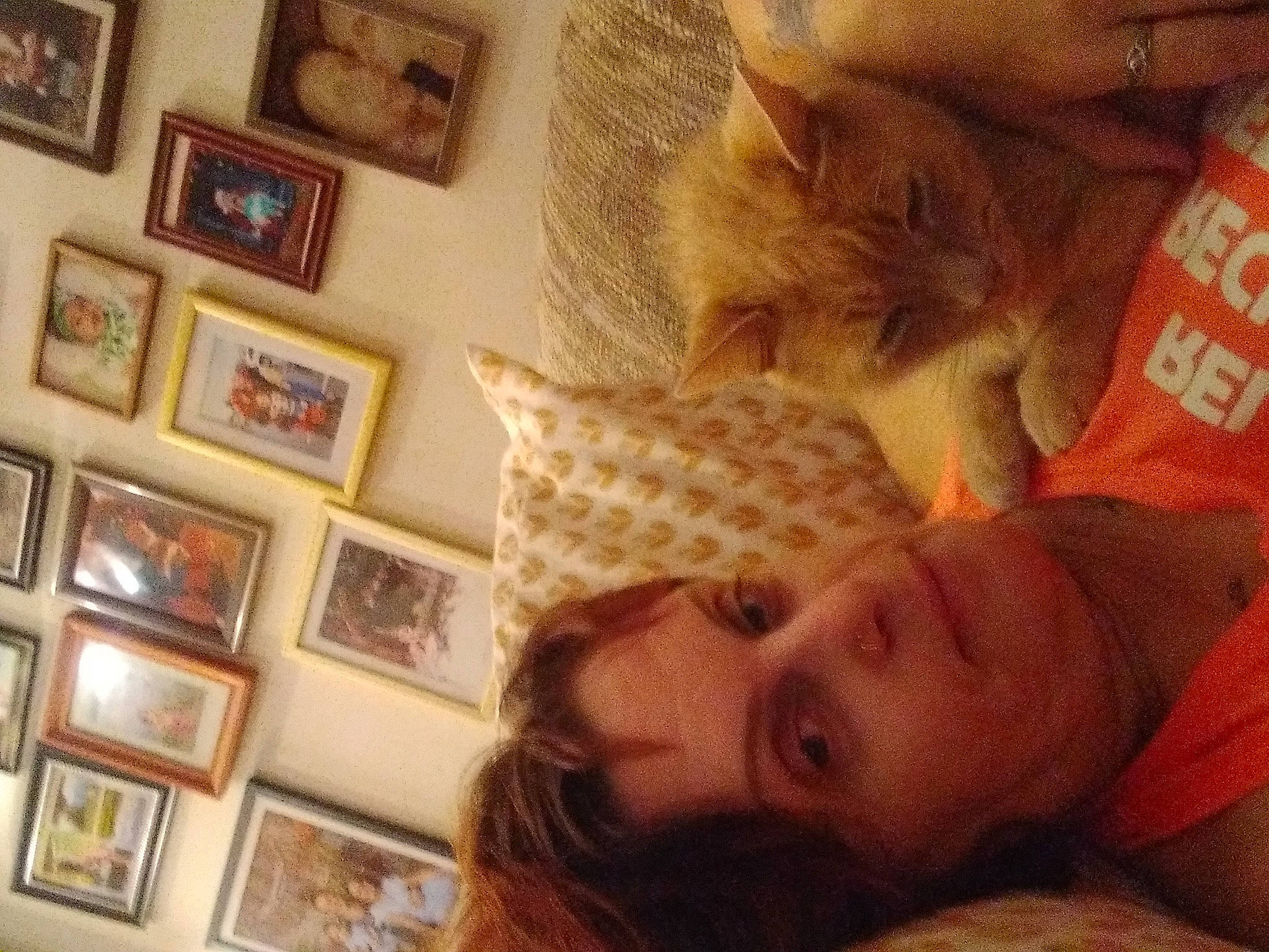 Charmander Wallace joined the competition — help win amazing prizes! cat, child, comfort, facial_hair, fawn, felidae, flooring, fun, fur, happy, long_hair, mouth, nose, orange, picture_frame, room, selfie, small_to_medium_sized_cats, tree, wood