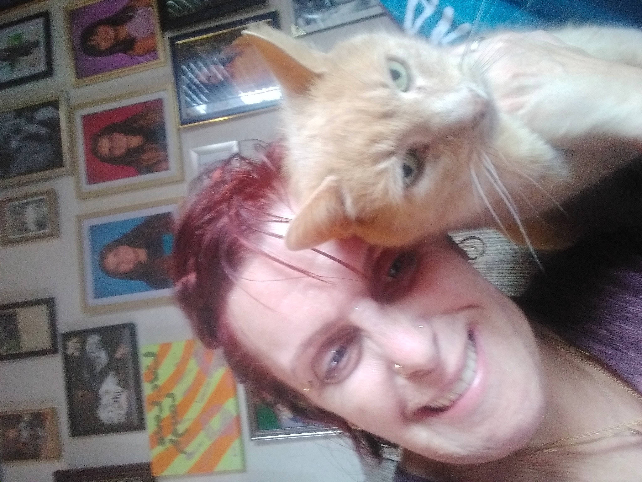 Charmander Wallace joined the competition — help win amazing prizes! carnivore, cat, chest, ear, eyelash, fawn, felidae, fun, fur, gesture, hair_coloring, happy, jaw, nose, organ, picture_frame, selfie, small_to_medium_sized_cats, smile, whiskers